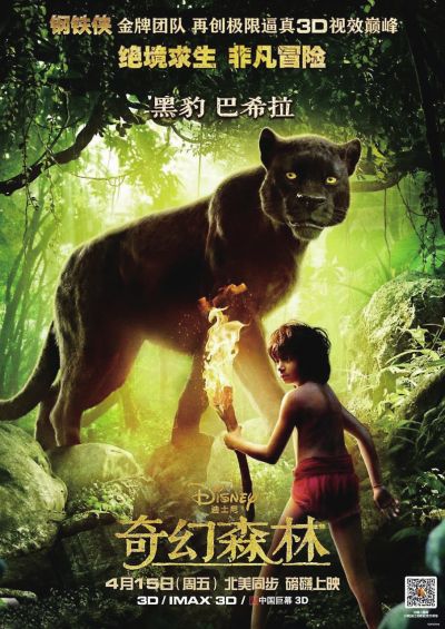 大专毕业证证